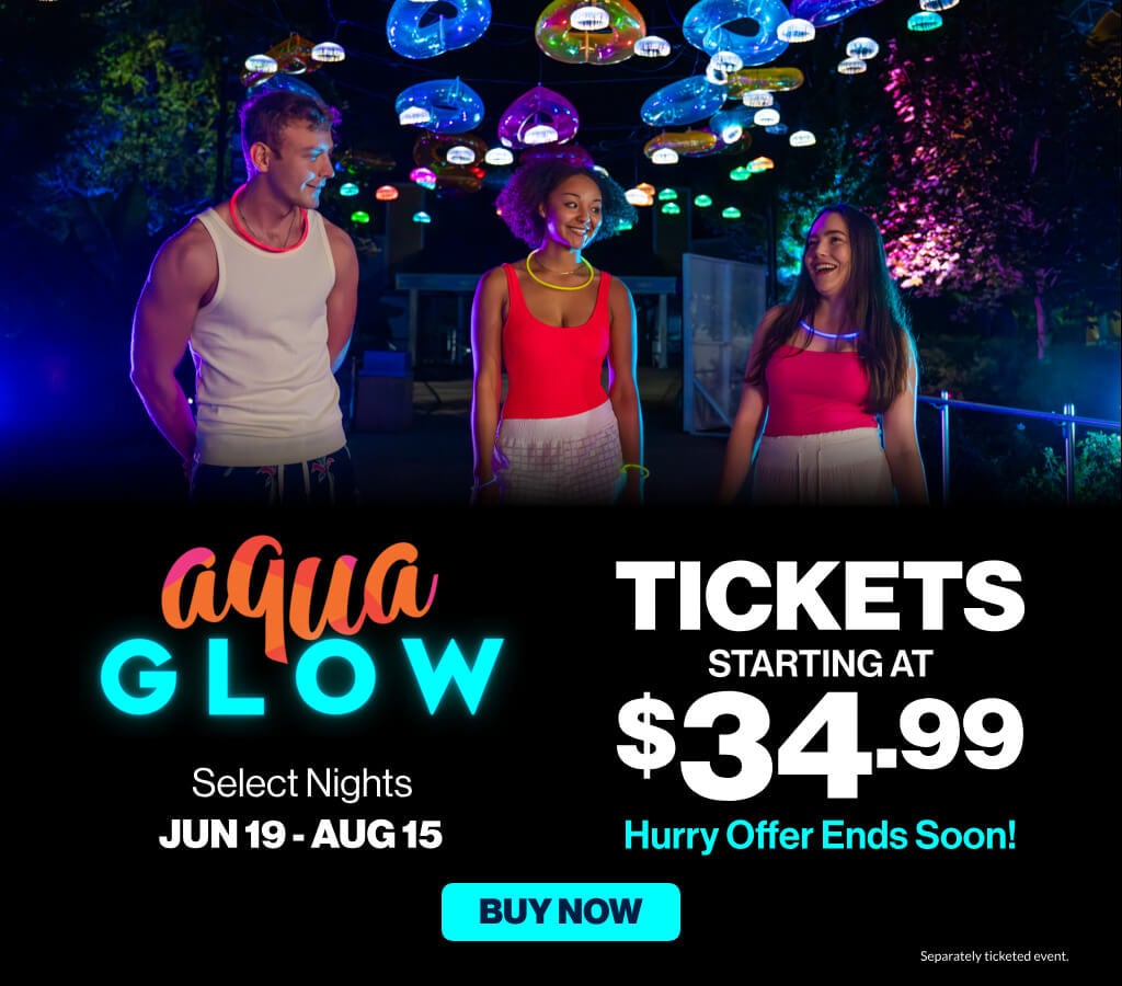 Water Country USA AquaGlow After Hours Event Starting at $34.99